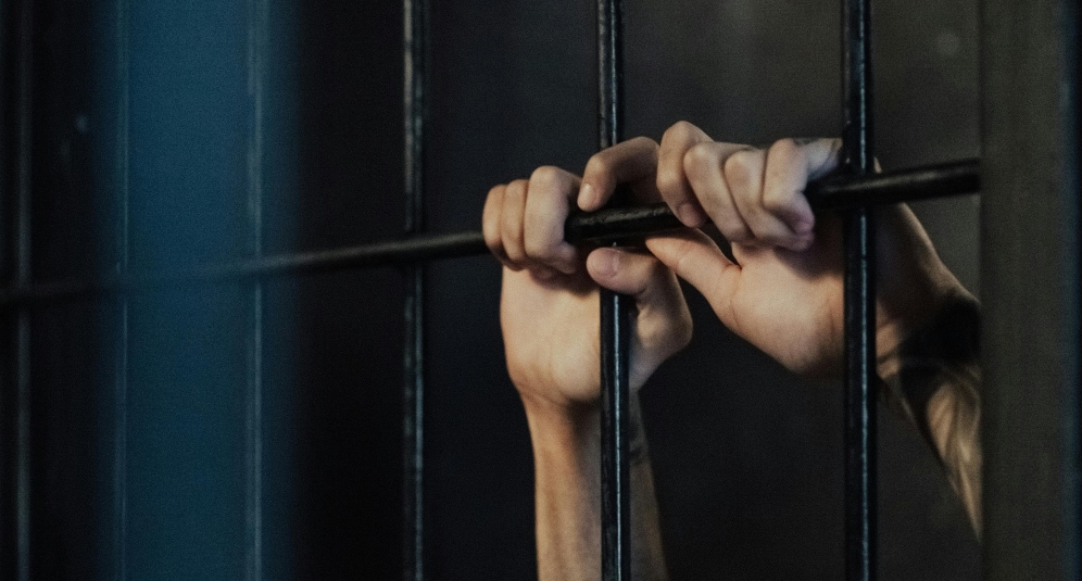 مهدی عربلو، جراح زیبایی قلابی دستگیر شد؛ همراه با جزئیات پرونده